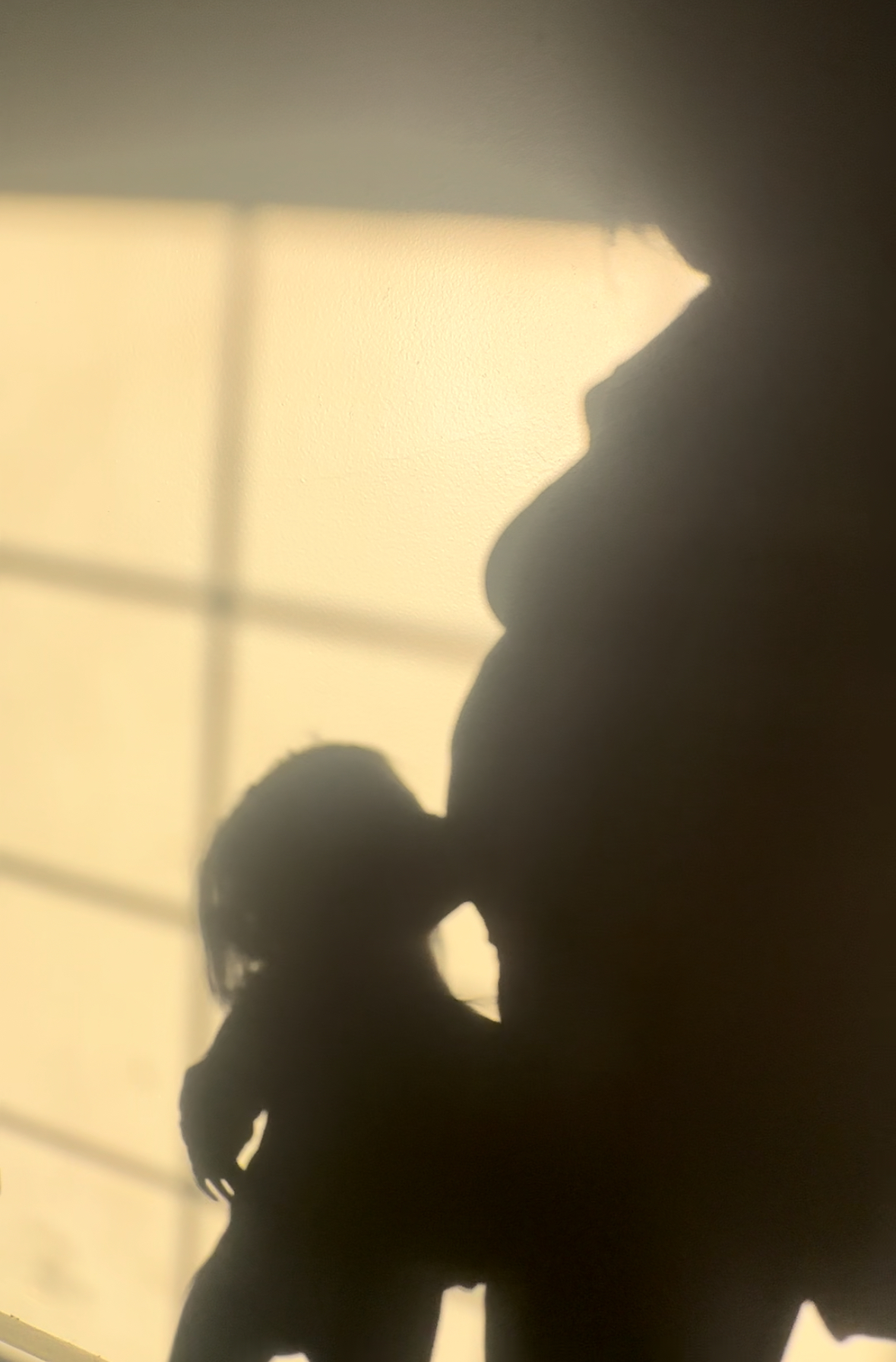 pregnant mom with toddler